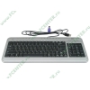 Клавиатура BTC "6200C", 100+13кн., серебр. (PS/2, USB) (ret)