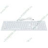Клавиатура BTC "6431", 104кн., белый (USB) (ret)