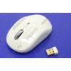 CBR Classic Wireless Mouse<CM450 White> (RTL) USB 4but+Roll,  беспроводная, уменьшенная