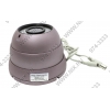 Orient <DP-955R>  Vandal-Proof CCD Camera (520TVL, Color, PAL,  f=4-9mm,  36  LED)