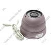 Orient <DP-955G> Vandal-Proof CCD Camera (600TVL, Color, PAL, f=4-9mm, 30 LED)
