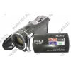 SONY HDR-CX190E <Black> Digital HD Handycam(1.5Mpx, 25x, 2.7", MS Duo/SDXC, USB/HDMI)