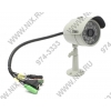 ZAVIO <F3115> Wireless 720p Compact IP Camera (1280x720, f=4mm, mic,  microSDHC, 802.11b/g/n, 6LED)