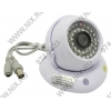 Orient <DP-928N>  CCD Camera (600TVL, Color, PAL, f=3.6mm,  10 LED)