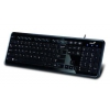 Клавиатура Genius SlimStar i250 черный USB slim Multimedia (31310059103)