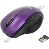 Genius Wireless Optical Mouse DX-6810 <Purple> USB  5btn+Roll (31030110103)