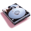 HDD 30 GB IDE WESTERN DIGITAL <300AB> UDMA100 5400RPM