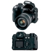 FujiFilm FinePix S5100/5500 <ENG> (4.0Mpx, 37-370mm, 10x, F2.8-3.1, JPG/RAW, (8-32)Mb xD, EVF, 1.5", USB, AV,AAx4)